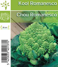 [1140] Chou romanesco par tray (8x6)