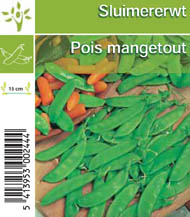 [1166] Pois mangetout tray (8x6)