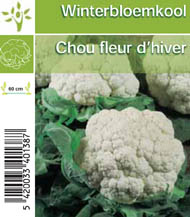 [1146] Chou fleur d'hiver par tray (8x6)