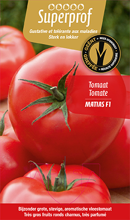 [7560] Tomate greffée MATIAS F1