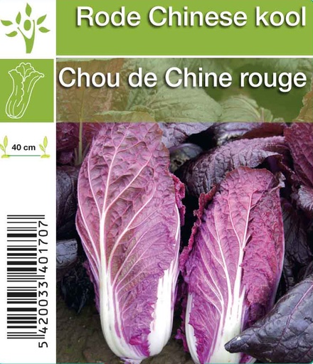 [1135] Chou de Chine rouge