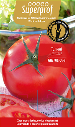 [7545] Tomate greffée Fantasio F1